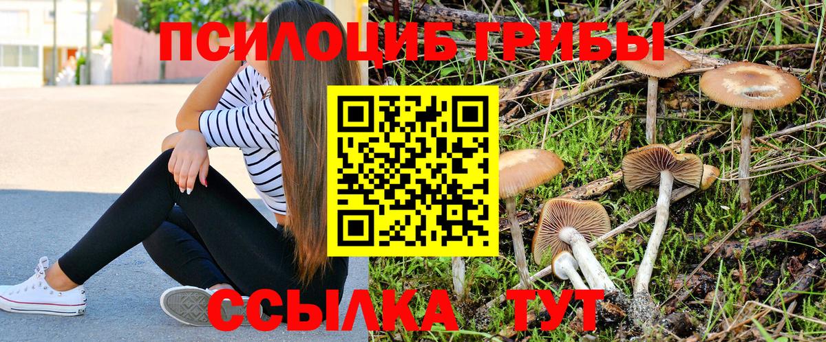 Псилоцибиновые грибы MAGIC MUSHROOMS  Вход с VPN  как найти закладки  Лобня 
