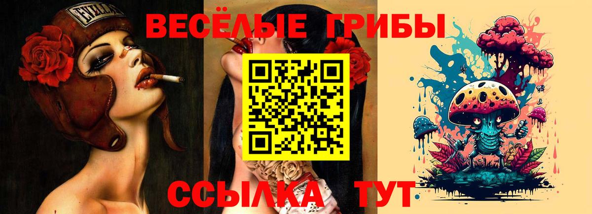 Псилоцибиновые грибы Psilocybe Лобня